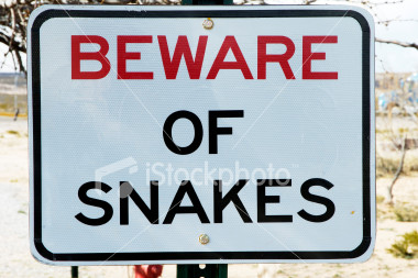 Snakes Alive