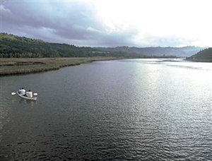 Special of the Week - Phantom Forest Eco-Reseve, Knysna, Garden Route