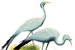 Stanford Stretton''s Bird Fair 2011