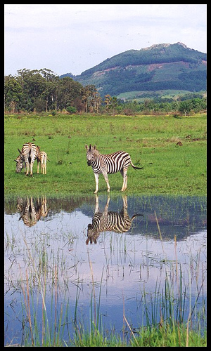 Swazi Candles Centre