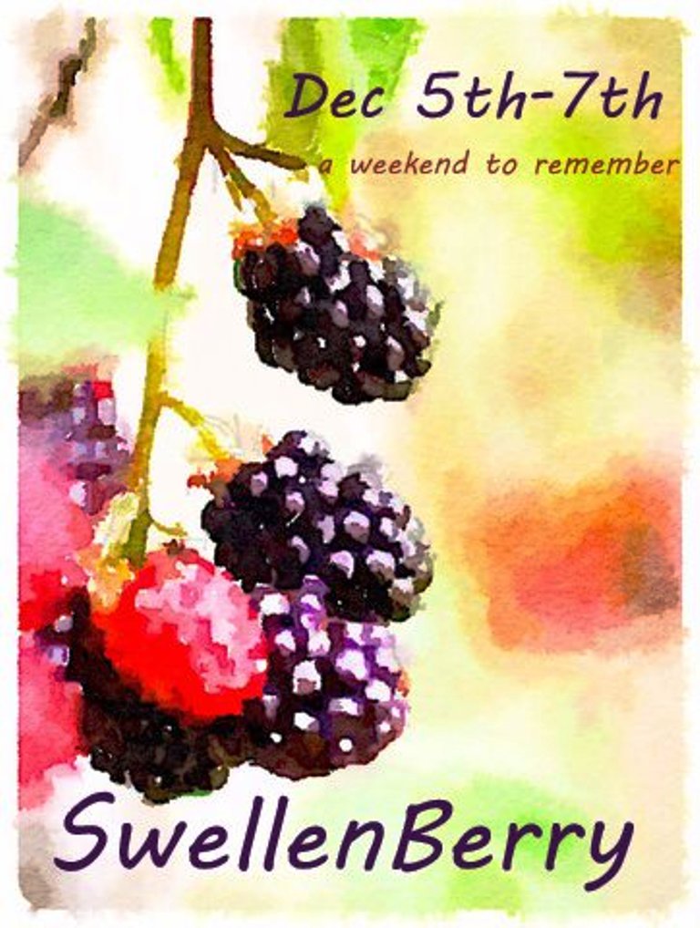 Swellenberry 2014