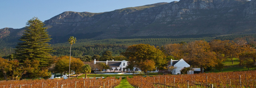 KleinConstantia