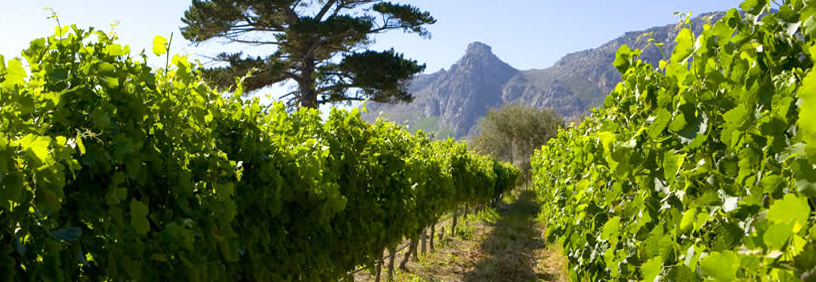 steenberg
