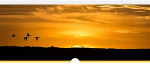 Top 10 Reasons to Visit De Hoop in 2015