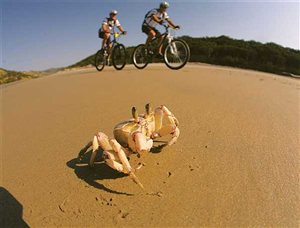 Umngazi Pondo Pedal this week