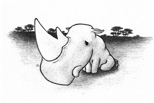 Wear Black for the Rhino on Spring Day