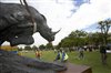 Wild Animals Stalk Stellenbosch Streets