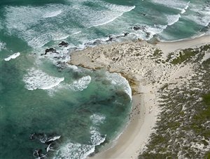 Wildlife Wednesday - Whales Arrive at De Hoop