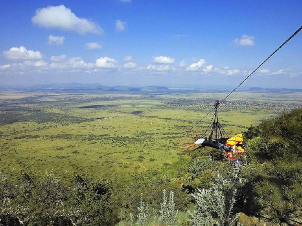 Zip your way around the best ziplines in South Africa